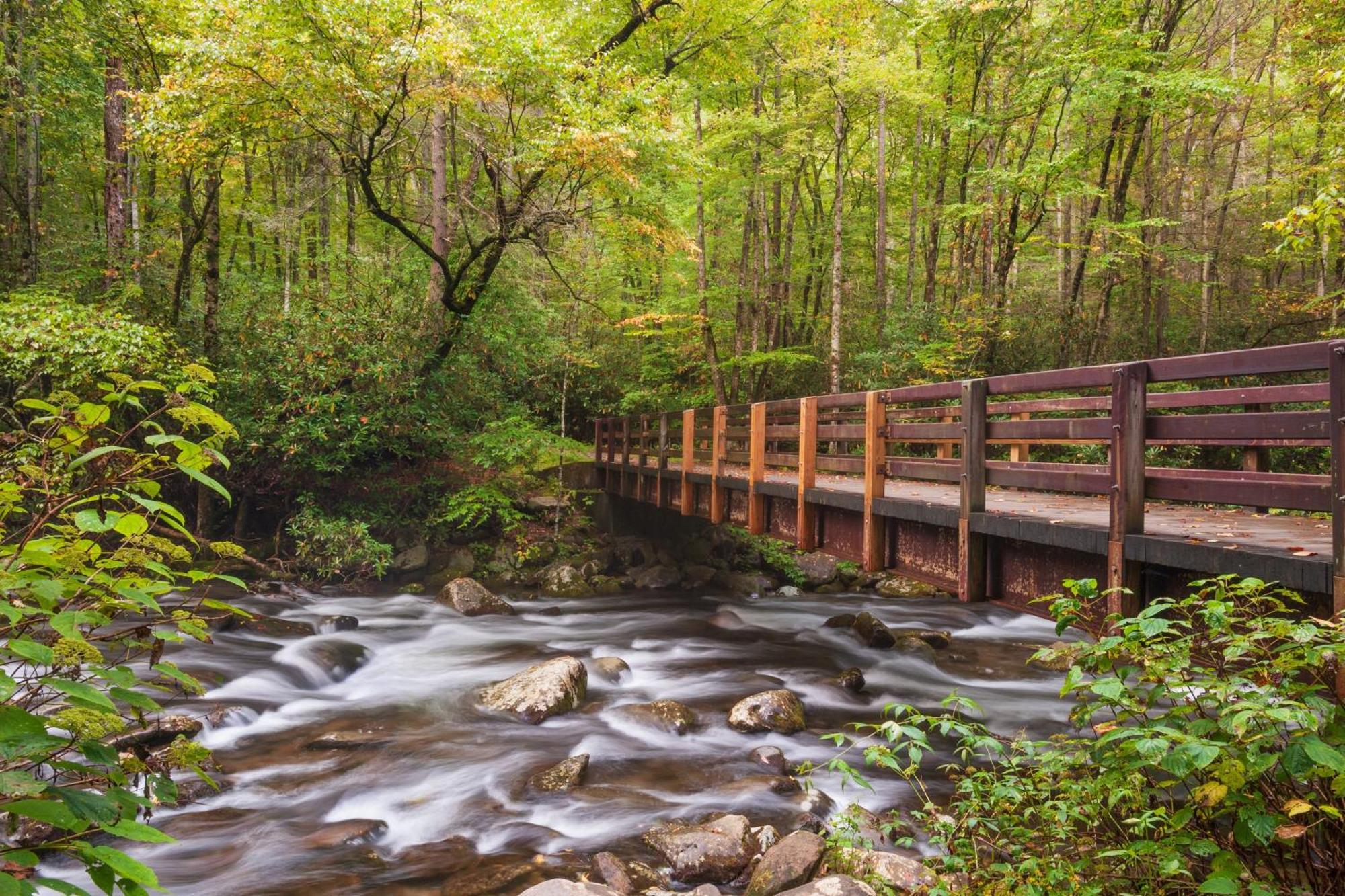 A Million Dollar View- Get 951 Worth Of Free Area Attraction Tickets For Each Paid Day! Villa Gatlinburg Eksteriør billede